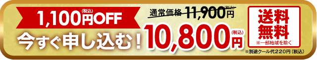 今すぐ申し込む！