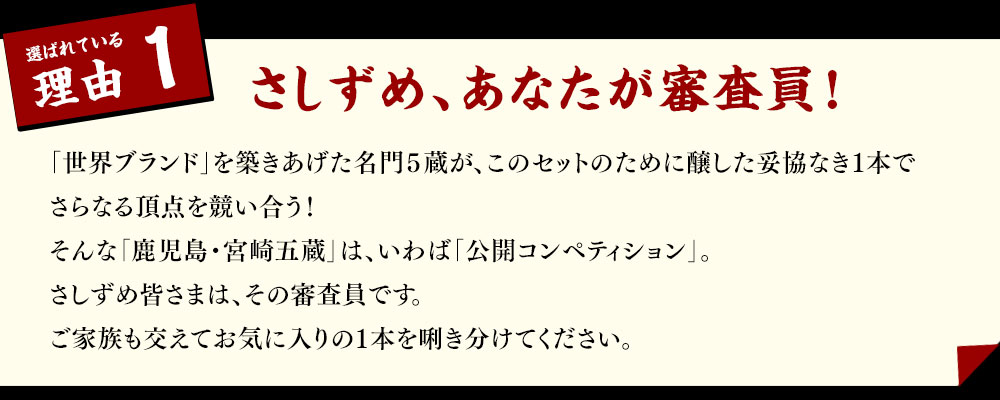 さしずめ、あなたが審査員！